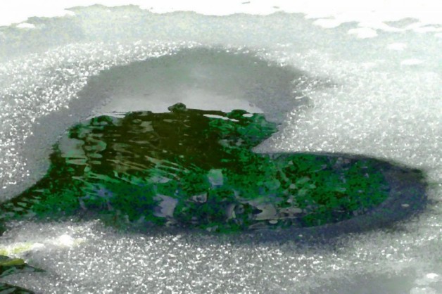 The highest and most beautiful things in life are not to be heard about, nor read about, nor seen, they are to be lived.