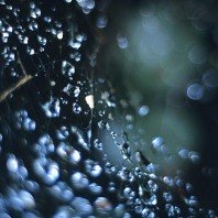 Vom Loslassen und Erlösen